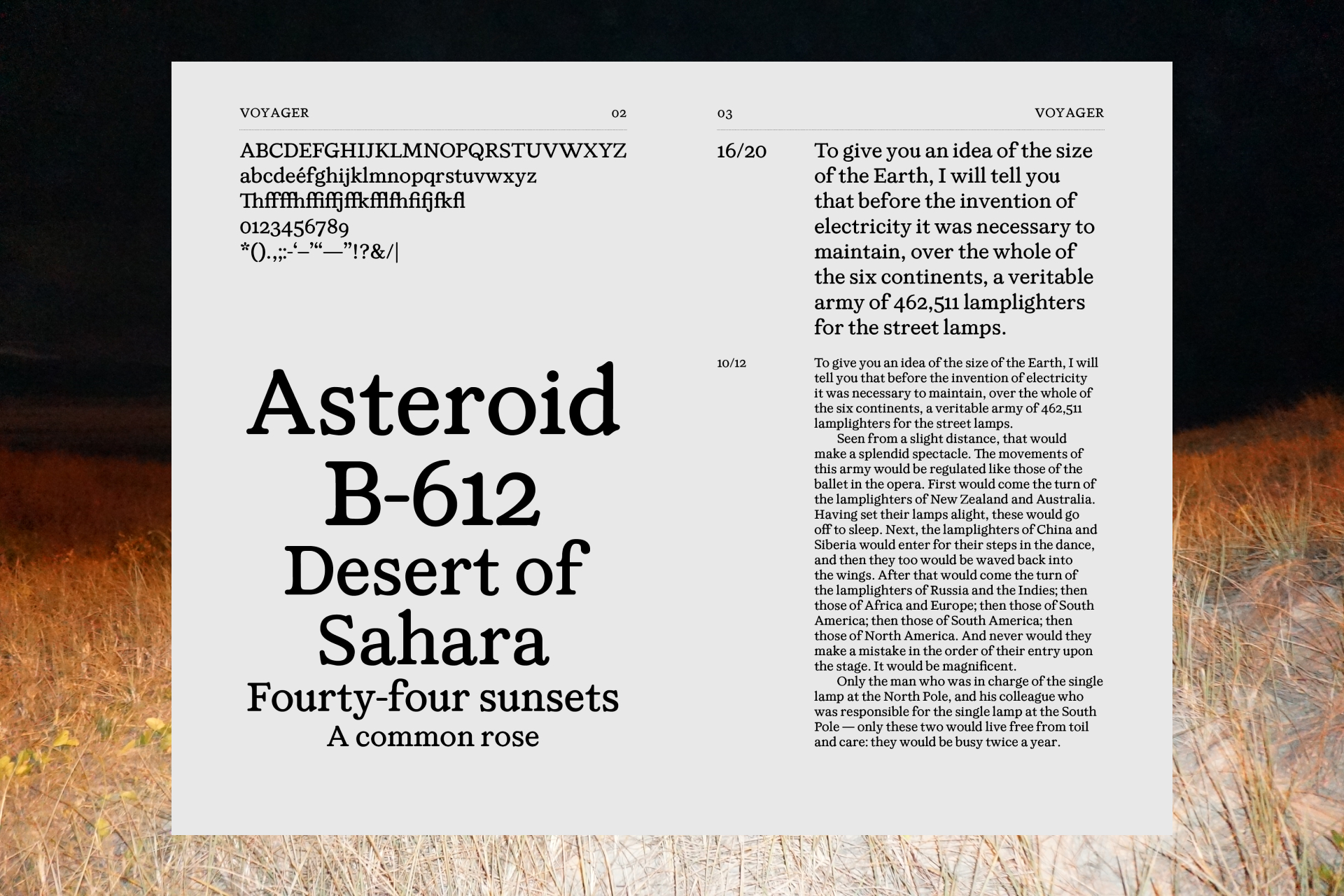 Voyager specimen spread